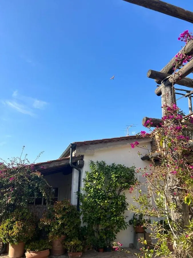 Agriturismo Baratti 0*,  Italy