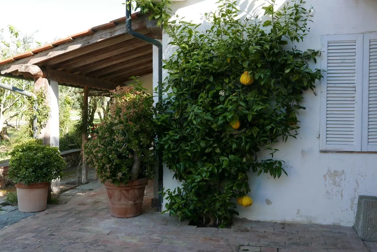 Agriturismo Baratti 0*,