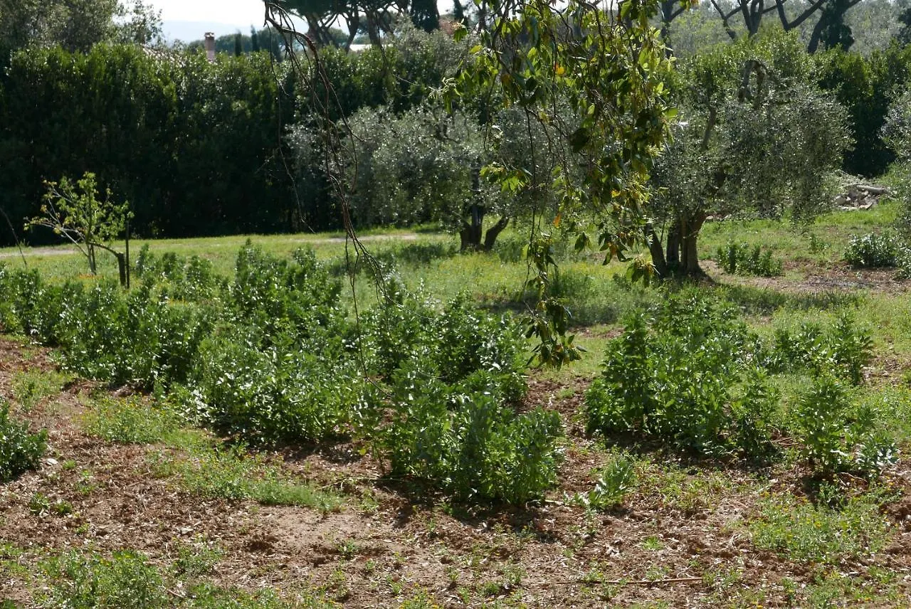 Agriturismo Baratti