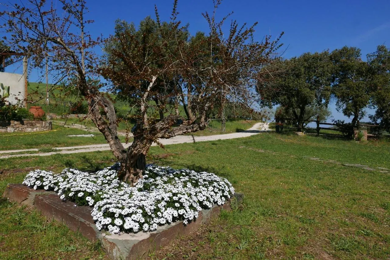Farm stay Agriturismo Baratti