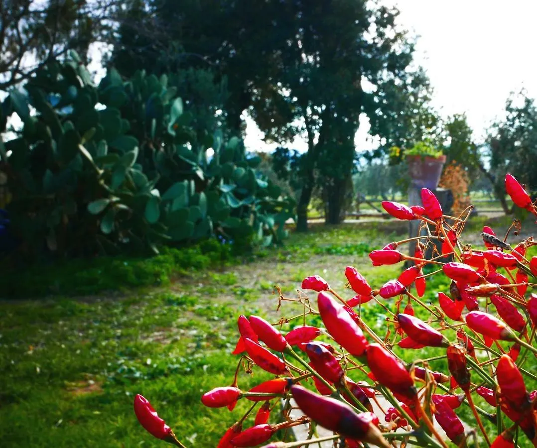 Agriturismo Baratti Italy