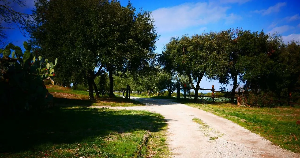 Agriturismo Baratti 0*,