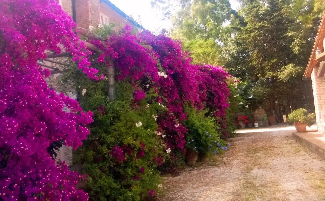 Agriturismo Baratti