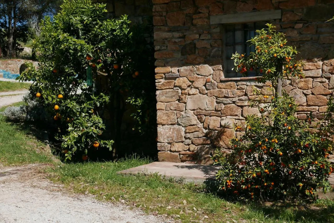 Agriturismo Baratti