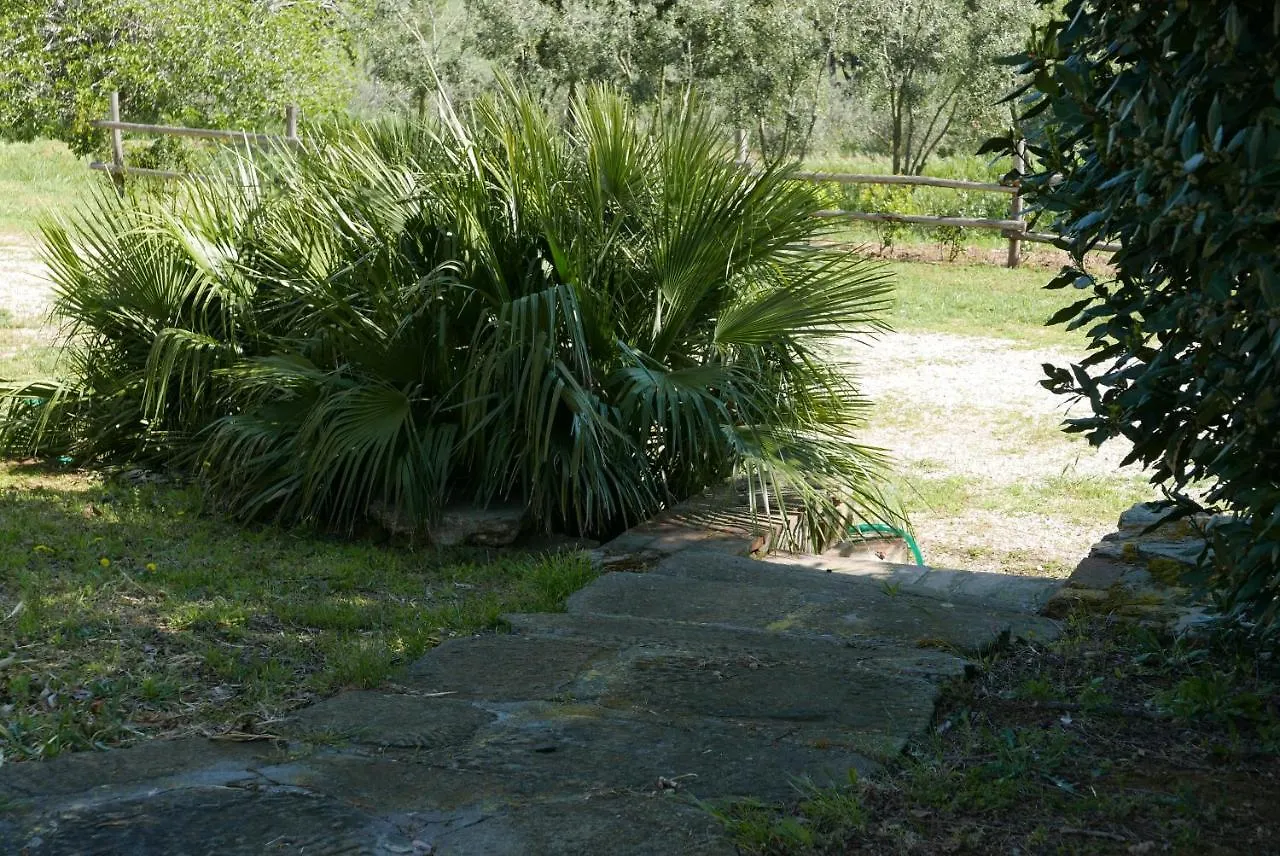 Agriturismo Baratti Farm stay