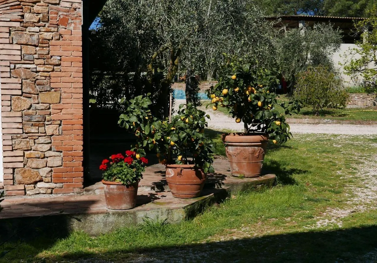 Agriturismo Baratti